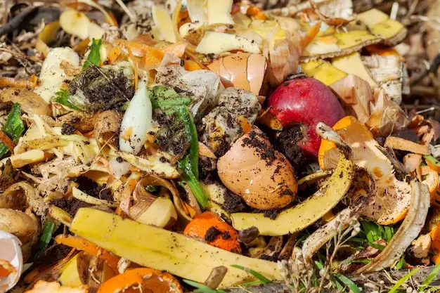 Remoção de resíduos orgânicos no Recreio dos Bandeirantes: evite mau cheiro e contaminação Remoção de resíduos orgânicos no Recreio dos Bandeirantes: evite mau cheiro e contaminação