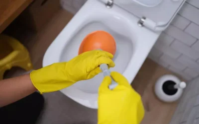 Entupimento de vasos sanitários: mitos e verdades sobre soluções caseiras