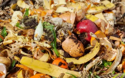 Remoção de resíduos orgânicos em Campo Grande: elimine o problema de vez, sem sujeira ou danos