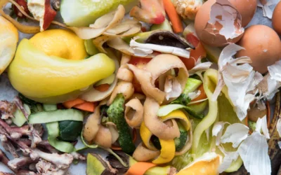 Remoção de resíduos orgânicos em Campo Grande, Santa Cruz e Bangu: descarte correto e responsabilidade ambiental