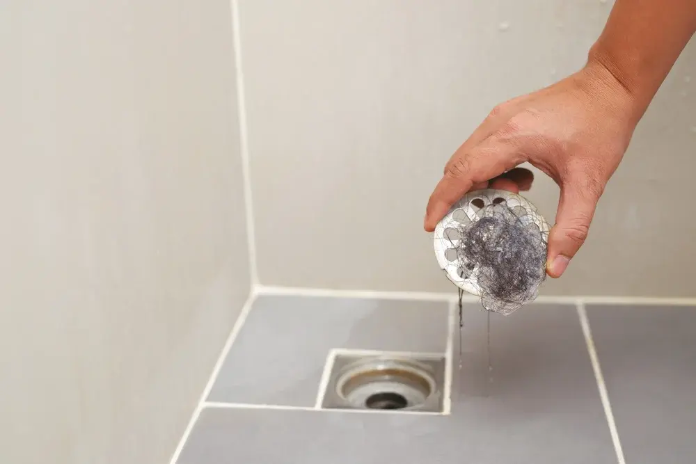 Remoção de resíduos orgânicos em Santa Cruz: cuidados ambientais e exigências operacionais